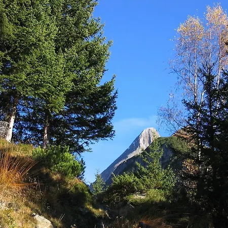 Lägenhet Haus Schlechter Mayrhofen